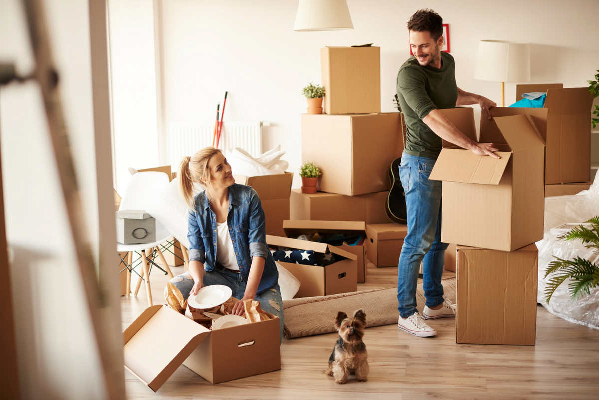 CityMove