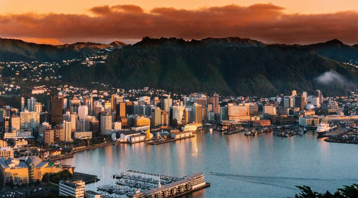 Moving to Wellington with CityMove