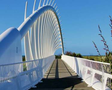 Moving from Auckland to Wellington? Here's How Professional Movers and Packers Make Life Easier