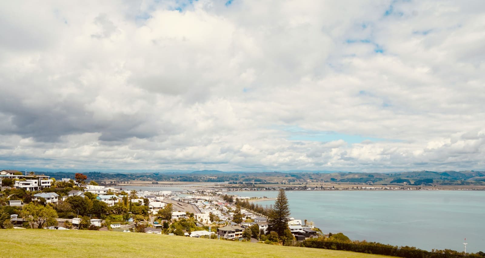 Napier movers packers